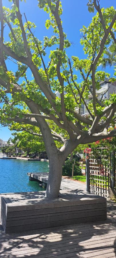 V&A Waterfront Marina Family Apartment 201 Altmore Kapstadt Exterior foto